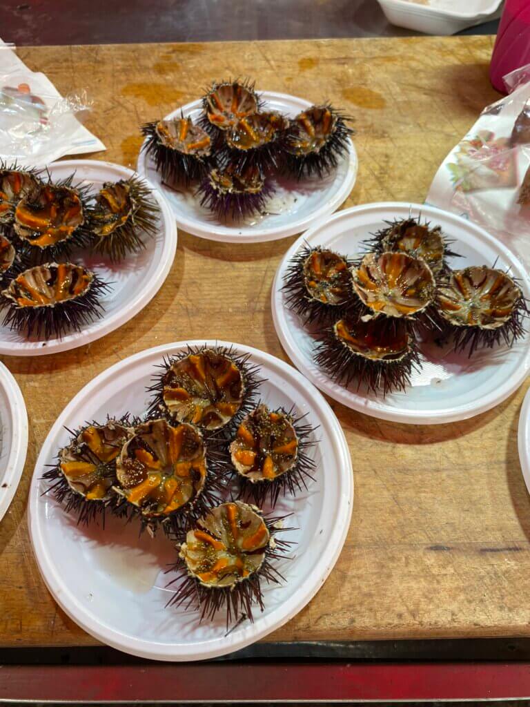 halbierte seeigel fischmarkt Catania